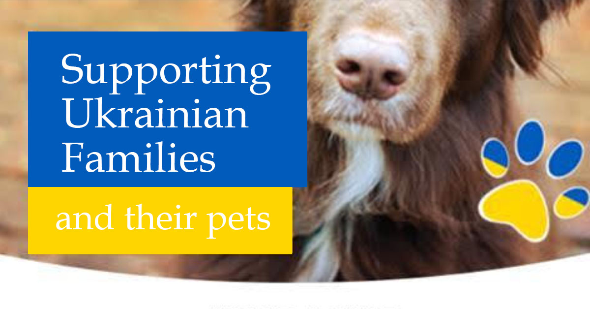 You are currently viewing Free Pet Plan insurance to Ukrainian families